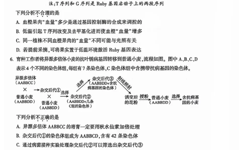 2024北京朝阳高三二模生物试题及答案(1)_2024年5月_025月合集_2024届北京市朝阳区高三二模