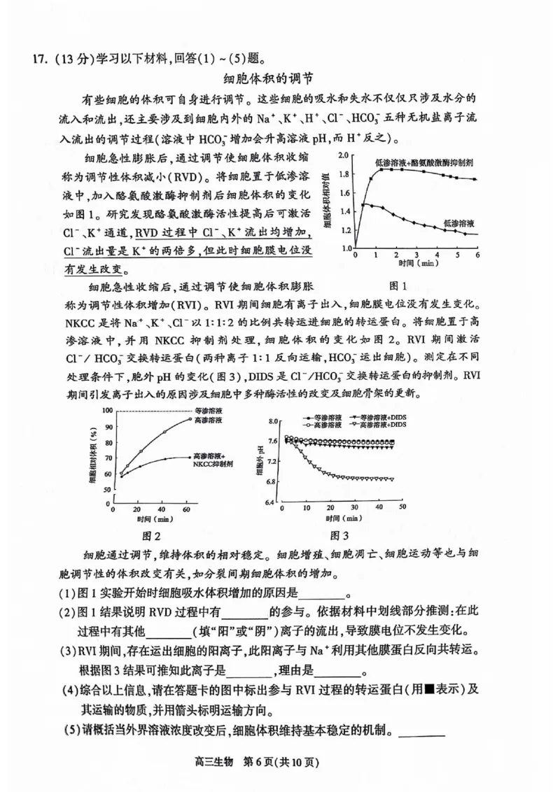 2024北京朝阳高三二模生物试题及答案(1)_2024年5月_025月合集_2024届北京市朝阳区高三二模