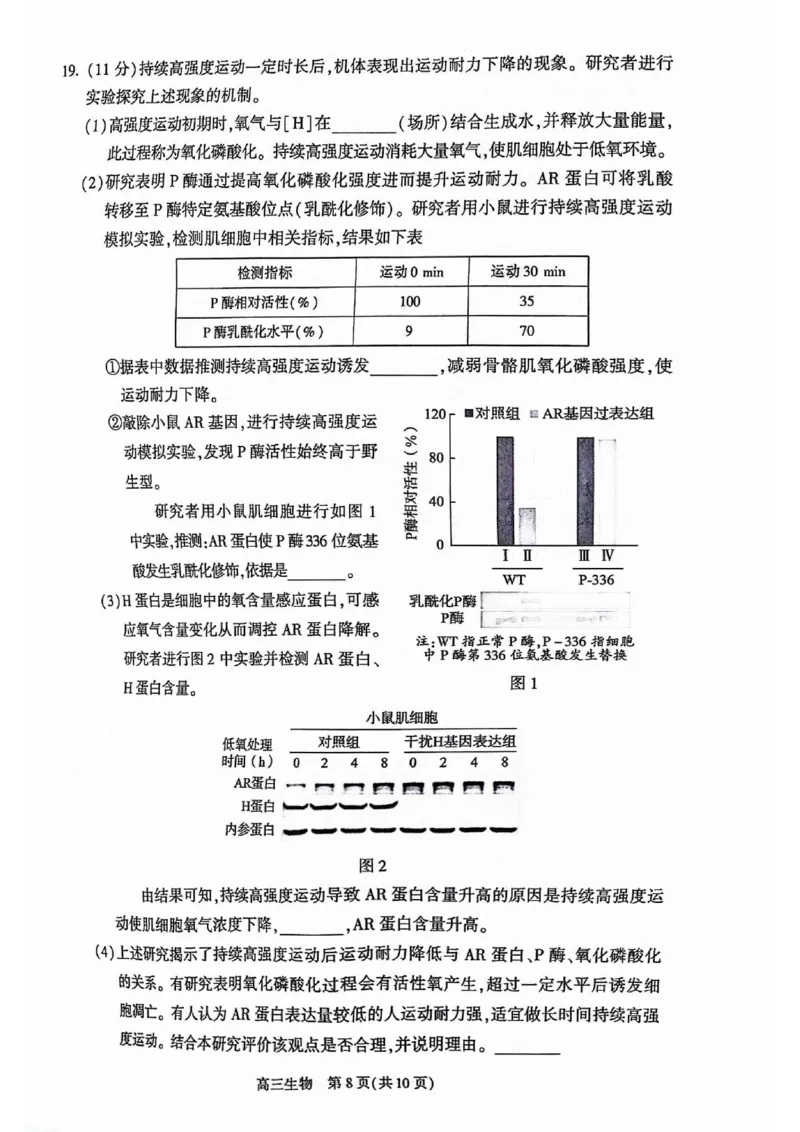2024北京朝阳高三二模生物试题及答案(1)_2024年5月_025月合集_2024届北京市朝阳区高三二模