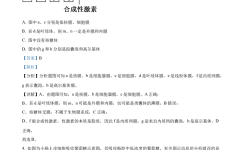 精品解析：天津市朱唐庄中学2023-2024学年高三10月月考生物试题（解析版）(1)_2023年10月_0210月合集_2024届天津市朱唐庄中学高三上学期10月第一次检测