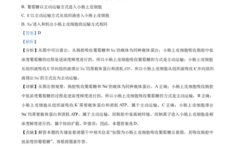 精品解析：天津市朱唐庄中学2023-2024学年高三10月月考生物试题（解析版）(1)_2023年10月_0210月合集_2024届天津市朱唐庄中学高三上学期10月第一次检测