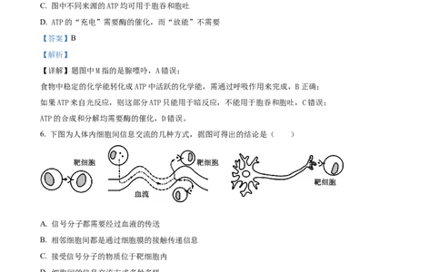 精品解析：天津市朱唐庄中学2023-2024学年高三10月月考生物试题（解析版）(1)_2023年10月_0210月合集_2024届天津市朱唐庄中学高三上学期10月第一次检测