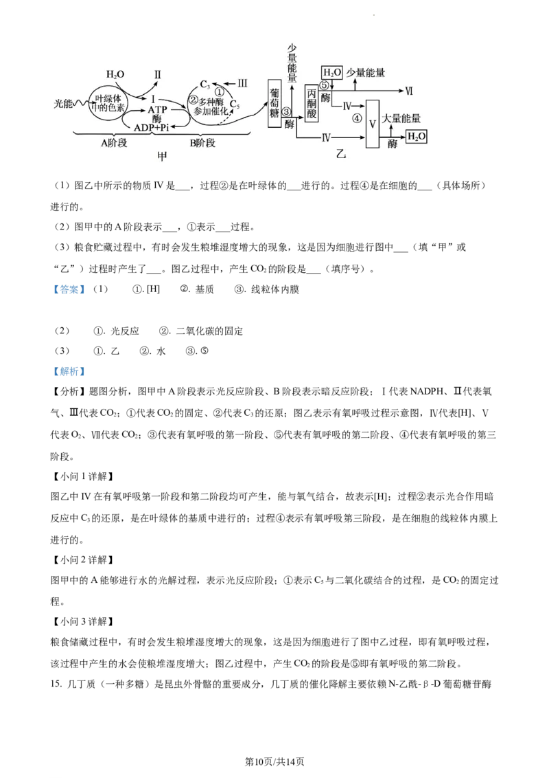 精品解析：天津市朱唐庄中学2023-2024学年高三10月月考生物试题（解析版）(1)_2023年10月_0210月合集_2024届天津市朱唐庄中学高三上学期10月第一次检测