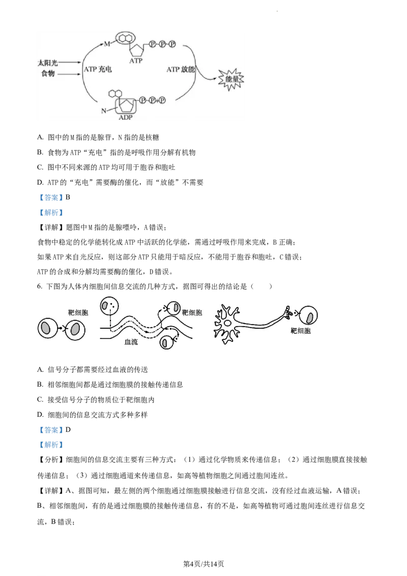 精品解析：天津市朱唐庄中学2023-2024学年高三10月月考生物试题（解析版）(1)_2023年10月_0210月合集_2024届天津市朱唐庄中学高三上学期10月第一次检测