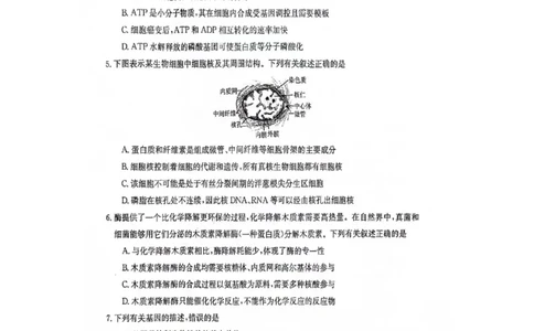 江西省部分高中学校2023-2024学年高三10月联考生物试题_2023年10月_01每日更新_28号_2024届江西省金太阳高三上学期10月联考_江西省金太阳2024届高三上学期10月联考生物