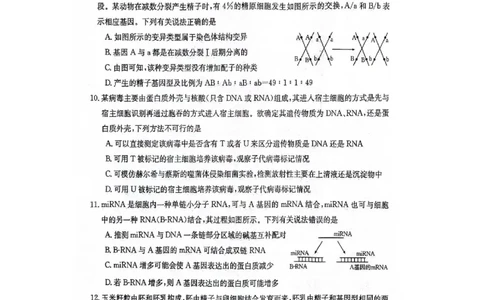 江西省部分高中学校2023-2024学年高三10月联考生物试题_2023年10月_01每日更新_28号_2024届江西省金太阳高三上学期10月联考_江西省金太阳2024届高三上学期10月联考生物