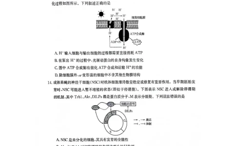 江西省部分高中学校2023-2024学年高三10月联考生物试题_2023年10月_01每日更新_28号_2024届江西省金太阳高三上学期10月联考_江西省金太阳2024届高三上学期10月联考生物