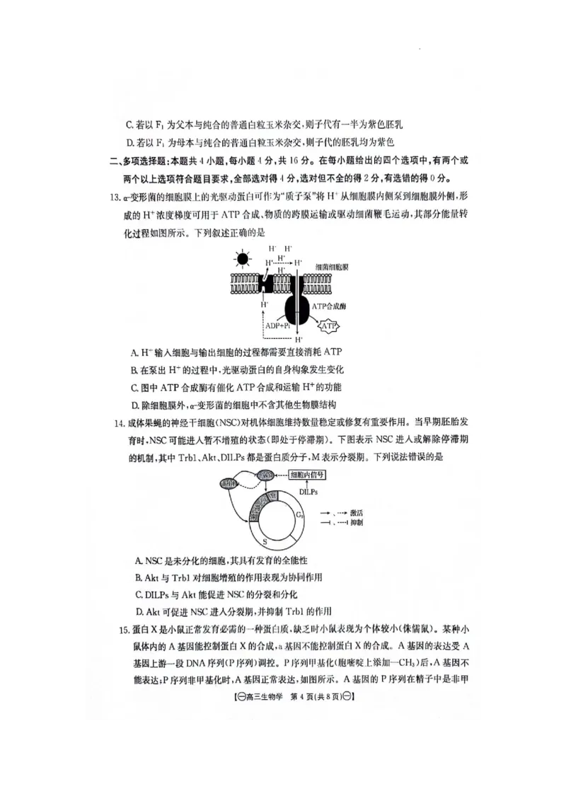 江西省部分高中学校2023-2024学年高三10月联考生物试题_2023年10月_01每日更新_28号_2024届江西省金太阳高三上学期10月联考_江西省金太阳2024届高三上学期10月联考生物