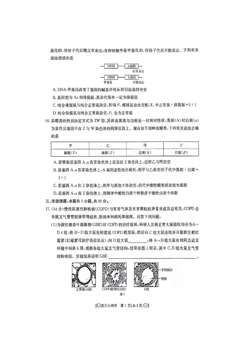 江西省部分高中学校2023-2024学年高三10月联考生物试题_2023年10月_01每日更新_28号_2024届江西省金太阳高三上学期10月联考_江西省金太阳2024届高三上学期10月联考生物