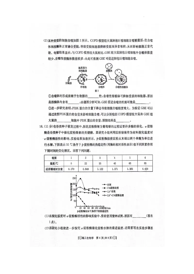 江西省部分高中学校2023-2024学年高三10月联考生物试题_2023年10月_01每日更新_28号_2024届江西省金太阳高三上学期10月联考_江西省金太阳2024届高三上学期10月联考生物