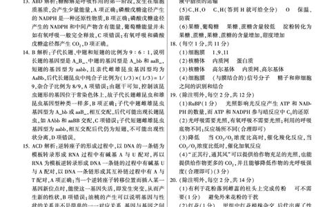 生物答案(1)_2023年10月_0210月合集_2024届湖南省先知高考联盟高三上学期第二次联考_湖南省先知高考联盟2024届高三上学期第二次联考生物