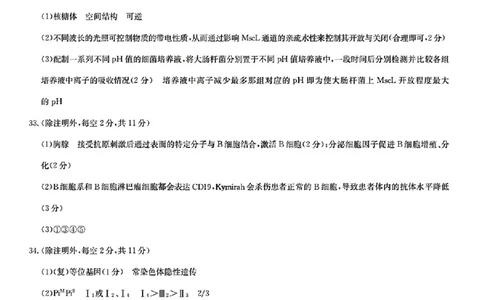 2023届新高考高三核心模拟卷（中）理综答案(1)(1)_2024年2月_022月合集_2023届新高考九师联盟高三核心模拟卷（中）全科含答案