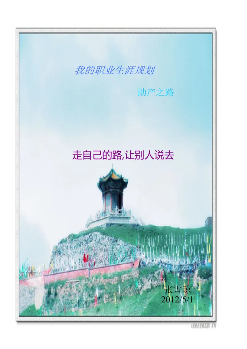 关于助产的职业规划_E6-职业规划_29护理专业