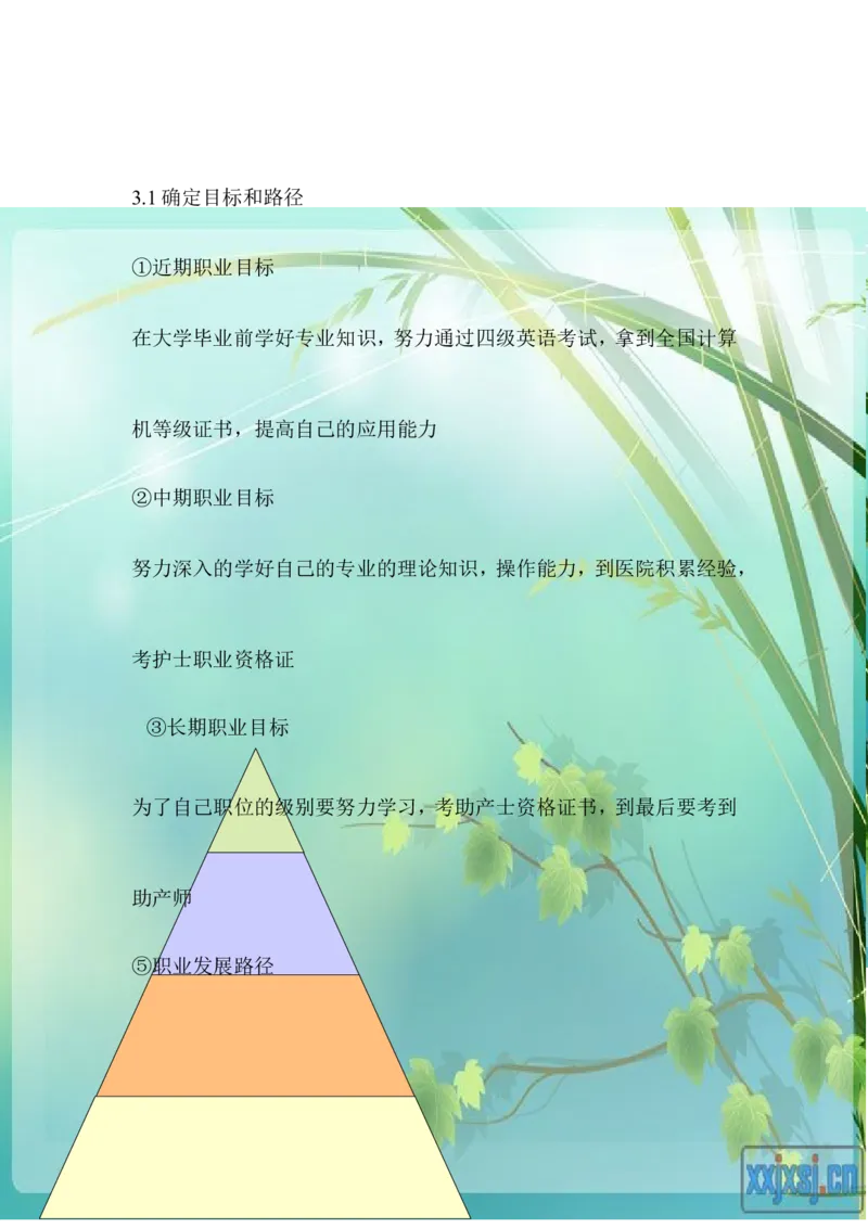 关于助产的职业规划_E6-职业规划_29护理专业