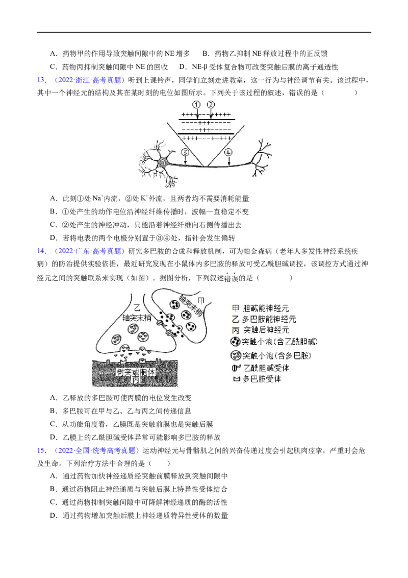 专题14神经调节-五年（2019-2023）高考生物真题分项汇编（全国通用）（原卷版）_赠送：2008-2024全套高考真题_高考生物真题_送高考生物五年真题(2019-2023)分项汇编（全国通用）