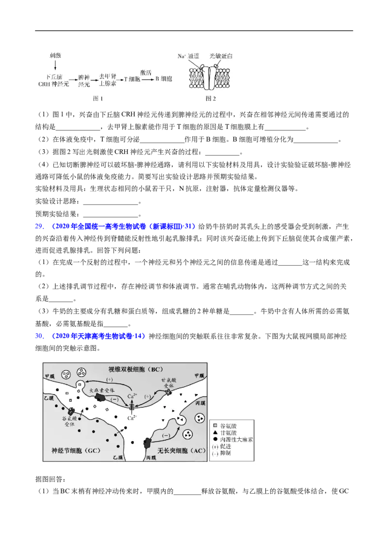 专题14神经调节-五年（2019-2023）高考生物真题分项汇编（全国通用）（原卷版）_赠送：2008-2024全套高考真题_高考生物真题_送高考生物五年真题(2019-2023)分项汇编（全国通用）