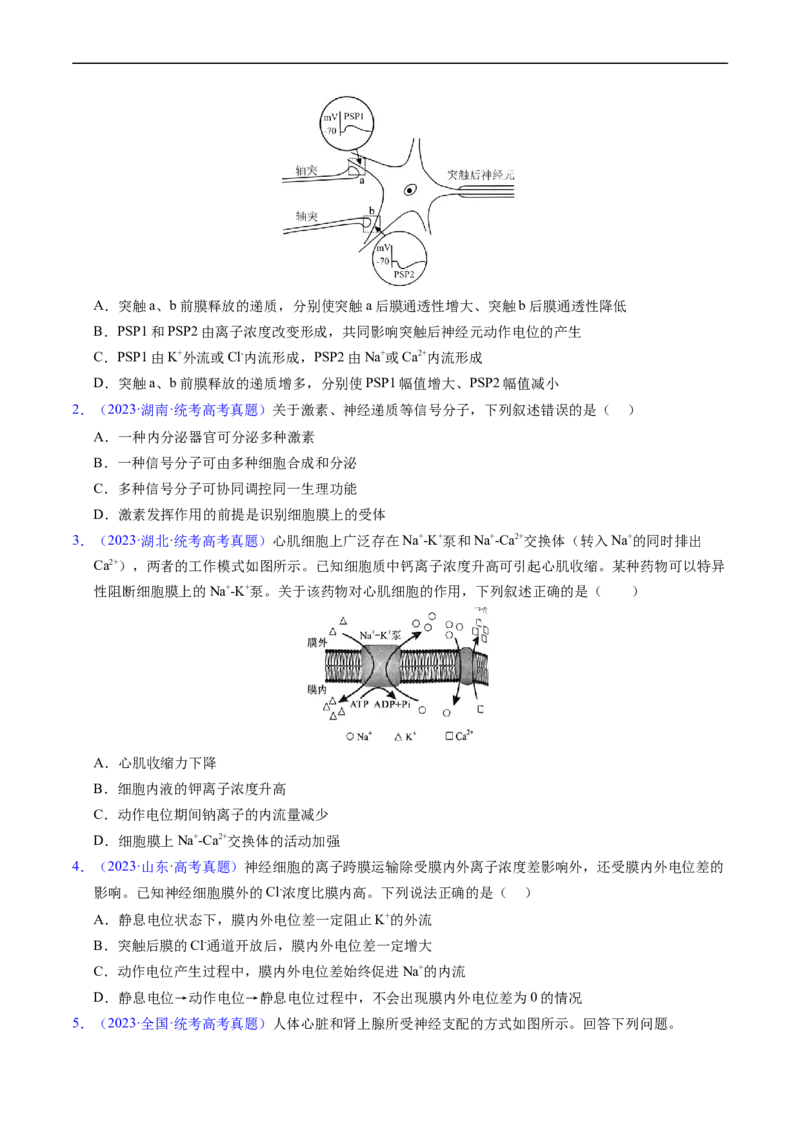 专题14神经调节-五年（2019-2023）高考生物真题分项汇编（全国通用）（原卷版）_赠送：2008-2024全套高考真题_高考生物真题_送高考生物五年真题(2019-2023)分项汇编（全国通用）