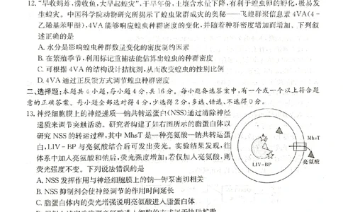 2024届新高考教学教研联盟高三第一次联考生物试卷_2024年3月_013月合集_2024届湖南长郡十八校新高考教学教研联盟高三下学期第一次联考