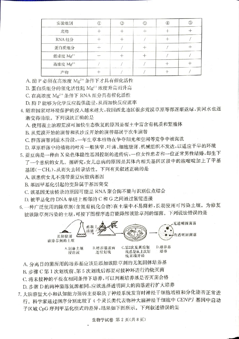 2024届新高考教学教研联盟高三第一次联考生物试卷_2024年3月_013月合集_2024届湖南长郡十八校新高考教学教研联盟高三下学期第一次联考