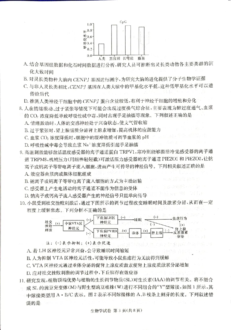 2024届新高考教学教研联盟高三第一次联考生物试卷_2024年3月_013月合集_2024届湖南长郡十八校新高考教学教研联盟高三下学期第一次联考