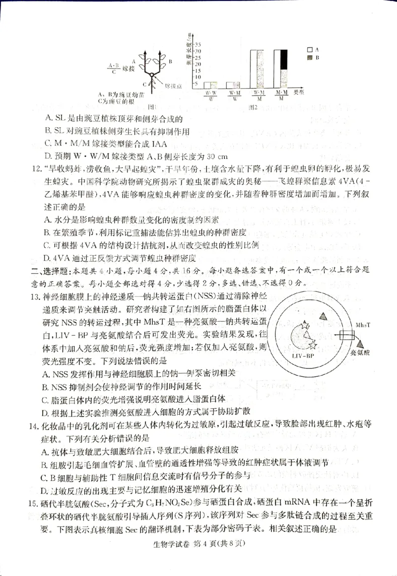 2024届新高考教学教研联盟高三第一次联考生物试卷_2024年3月_013月合集_2024届湖南长郡十八校新高考教学教研联盟高三下学期第一次联考