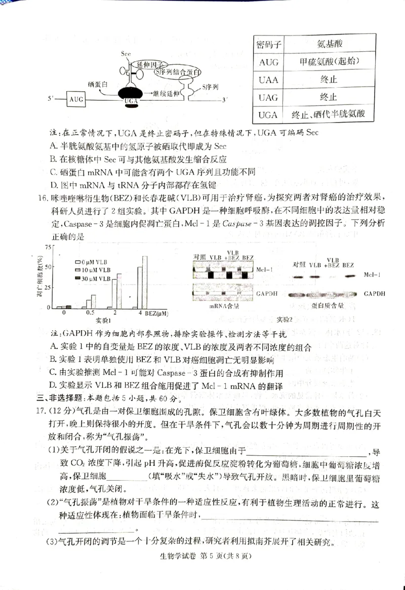 2024届新高考教学教研联盟高三第一次联考生物试卷_2024年3月_013月合集_2024届湖南长郡十八校新高考教学教研联盟高三下学期第一次联考