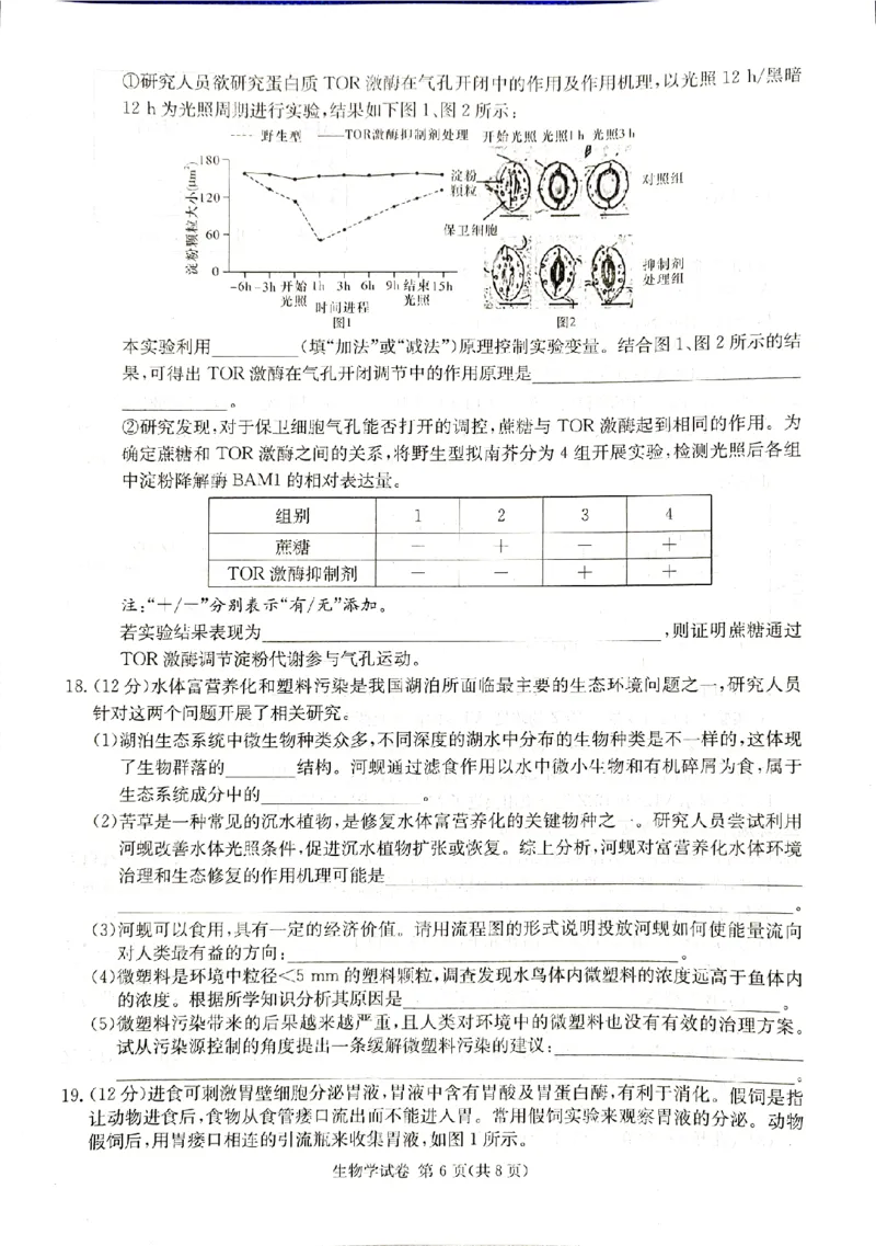 2024届新高考教学教研联盟高三第一次联考生物试卷_2024年3月_013月合集_2024届湖南长郡十八校新高考教学教研联盟高三下学期第一次联考