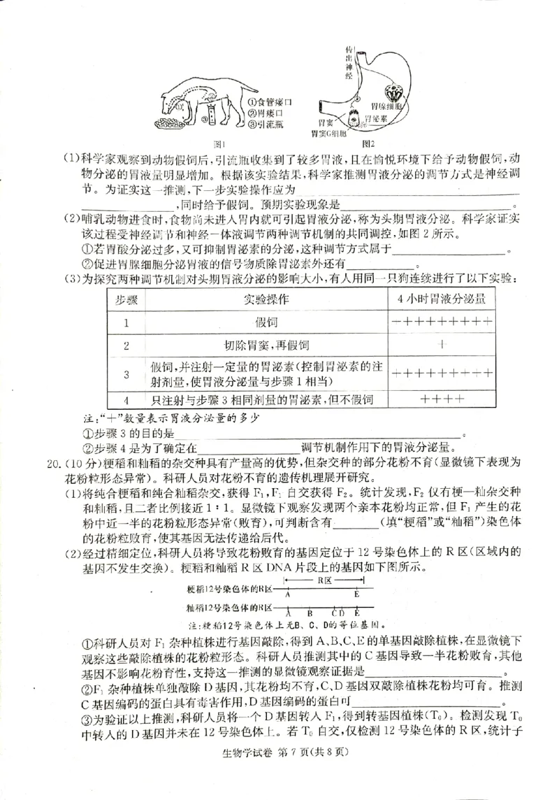 2024届新高考教学教研联盟高三第一次联考生物试卷_2024年3月_013月合集_2024届湖南长郡十八校新高考教学教研联盟高三下学期第一次联考