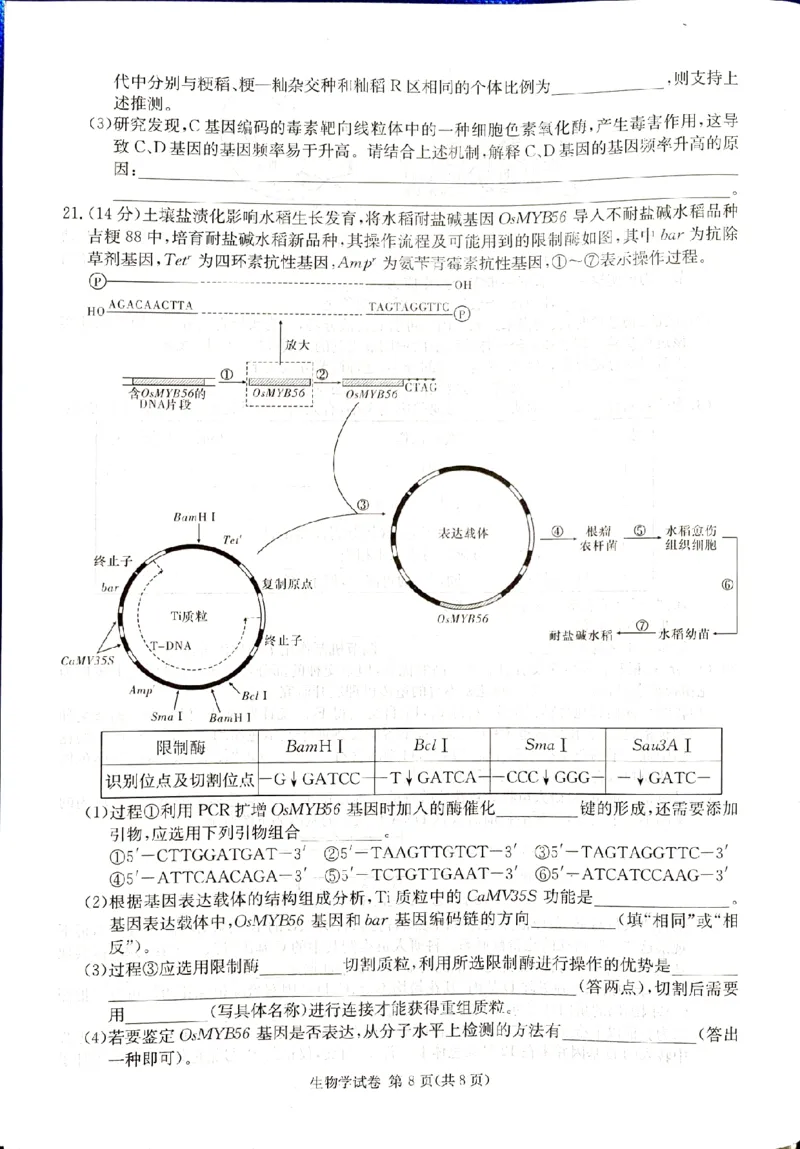 2024届新高考教学教研联盟高三第一次联考生物试卷_2024年3月_013月合集_2024届湖南长郡十八校新高考教学教研联盟高三下学期第一次联考