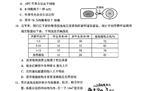2024北京西城高三一模生物试题及答案(1)_2024年4月_024月合集_2024届北京市东城区高三一模