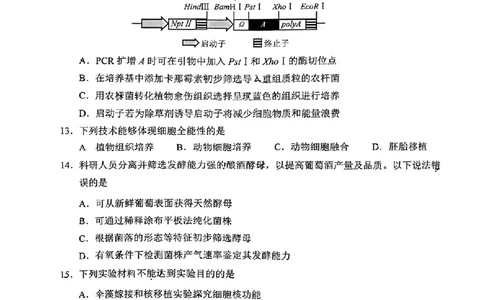 2024北京西城高三一模生物试题及答案(1)_2024年4月_024月合集_2024届北京市东城区高三一模