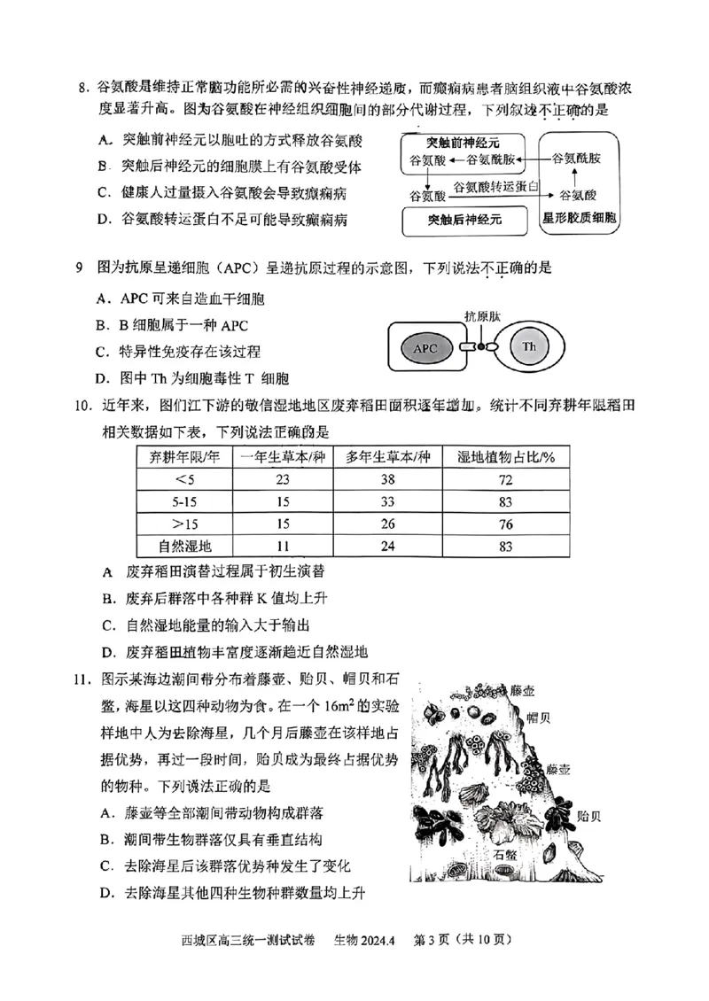 2024北京西城高三一模生物试题及答案(1)_2024年4月_024月合集_2024届北京市东城区高三一模