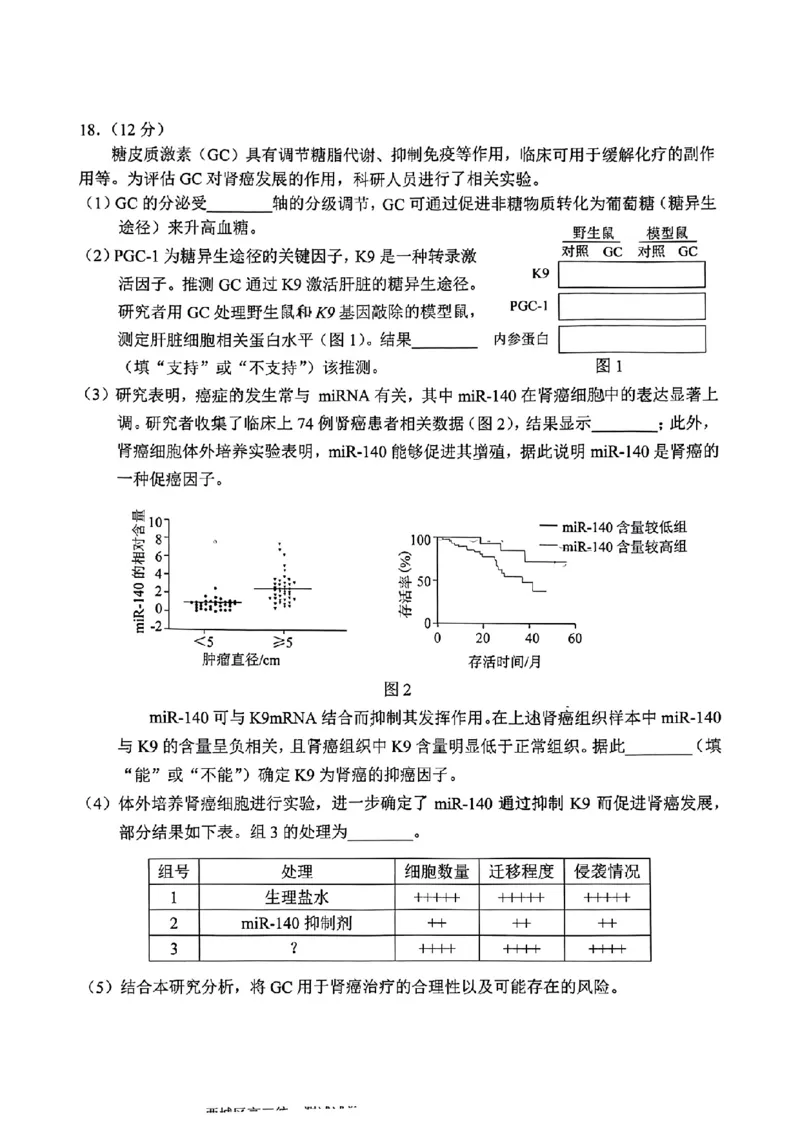 2024北京西城高三一模生物试题及答案(1)_2024年4月_024月合集_2024届北京市东城区高三一模