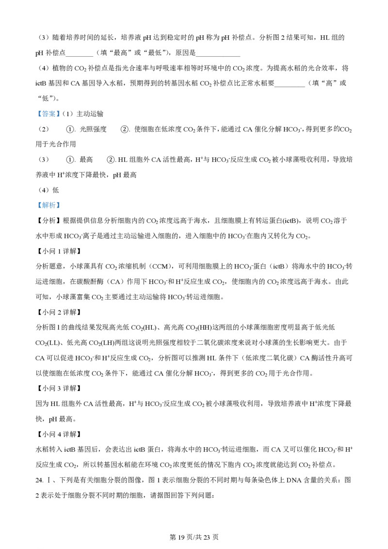 辽宁省大连市滨城高中联盟2023-2024学年高三上学期期中（Ⅰ）考试生物答案(1)_2023年10月_0210月合集_2024届辽宁省大连市滨城高中联盟高三上学期10月期中考试