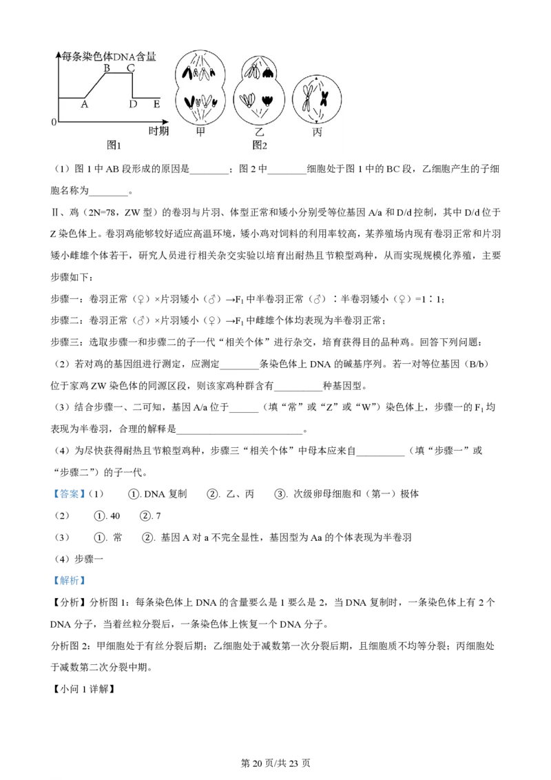 辽宁省大连市滨城高中联盟2023-2024学年高三上学期期中（Ⅰ）考试生物答案(1)_2023年10月_0210月合集_2024届辽宁省大连市滨城高中联盟高三上学期10月期中考试