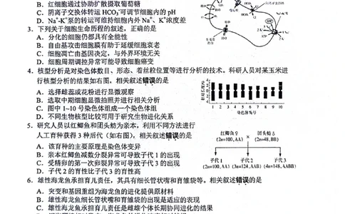 2024届江苏省南通市模拟预测生物试题_2024年5月_01按日期_30号_2024届江苏省南通市高考考前模拟高三练习卷(南通四模)_江苏省南通市2024届高考考前模拟高三练习卷(南通四模)生物试题