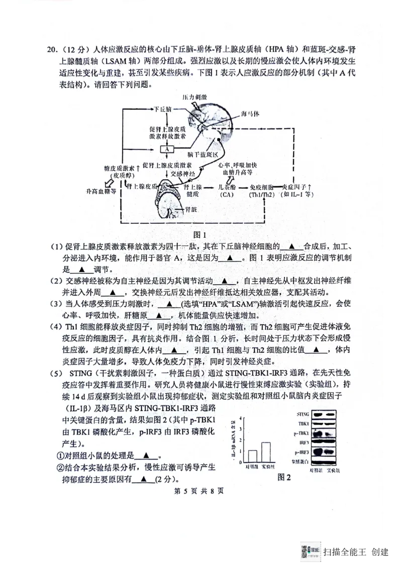 2024届江苏省南通市模拟预测生物试题_2024年5月_01按日期_30号_2024届江苏省南通市高考考前模拟高三练习卷(南通四模)_江苏省南通市2024届高考考前模拟高三练习卷(南通四模)生物试题