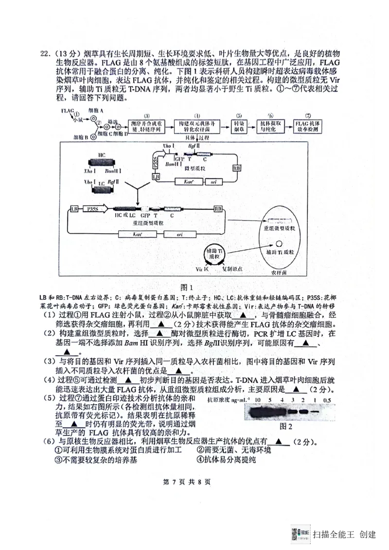 2024届江苏省南通市模拟预测生物试题_2024年5月_01按日期_30号_2024届江苏省南通市高考考前模拟高三练习卷(南通四模)_江苏省南通市2024届高考考前模拟高三练习卷(南通四模)生物试题