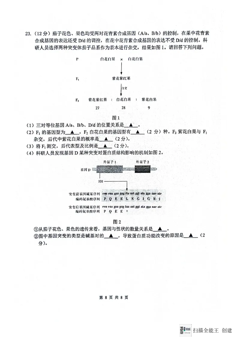 2024届江苏省南通市模拟预测生物试题_2024年5月_01按日期_30号_2024届江苏省南通市高考考前模拟高三练习卷(南通四模)_江苏省南通市2024届高考考前模拟高三练习卷(南通四模)生物试题