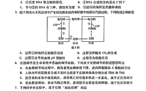 2024届广东省高三下学期4月二模考试-生物学+答案(1)_2024年4月_024月合集_2024届广东省高三下学期4月二模考试