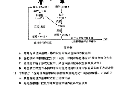 2024届广东省高三下学期4月二模考试-生物学+答案(1)_2024年4月_024月合集_2024届广东省高三下学期4月二模考试