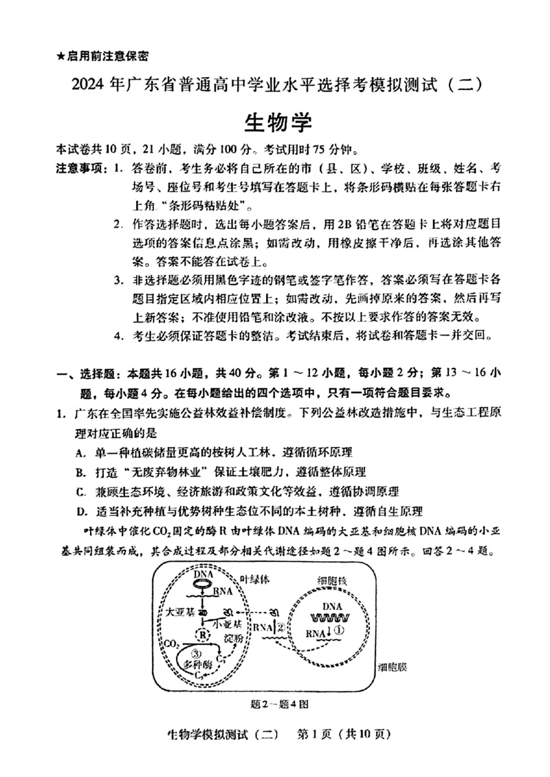 2024届广东省高三下学期4月二模考试-生物学+答案(1)_2024年4月_024月合集_2024届广东省高三下学期4月二模考试