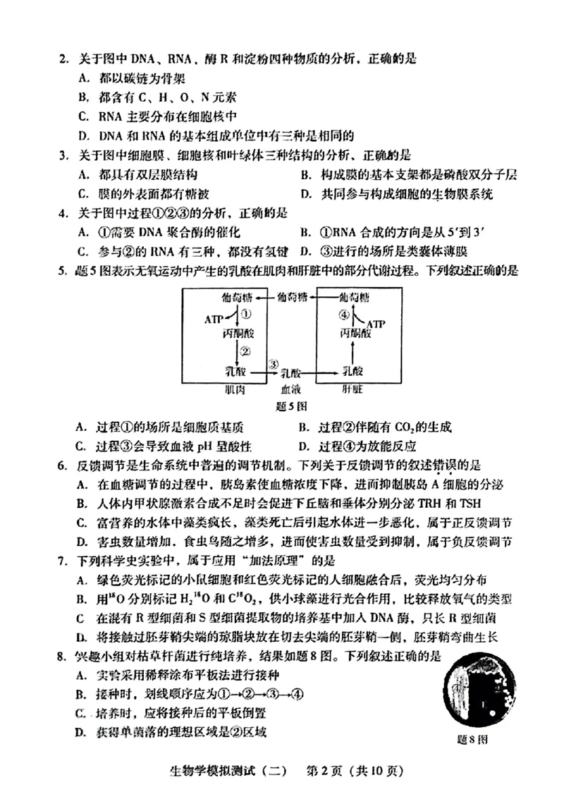 2024届广东省高三下学期4月二模考试-生物学+答案(1)_2024年4月_024月合集_2024届广东省高三下学期4月二模考试