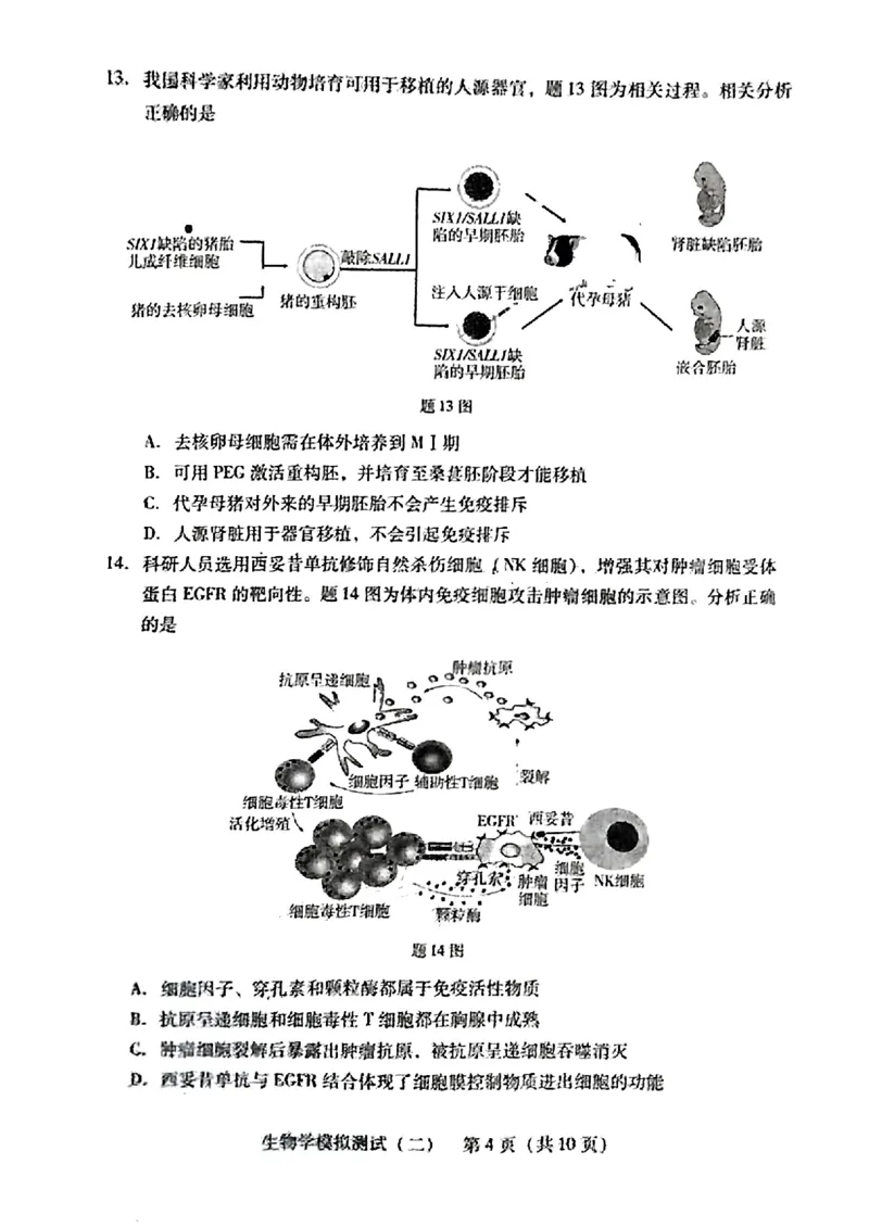 2024届广东省高三下学期4月二模考试-生物学+答案(1)_2024年4月_024月合集_2024届广东省高三下学期4月二模考试