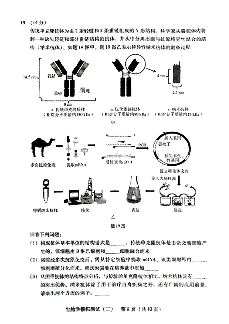 2024届广东省高三下学期4月二模考试-生物学+答案(1)_2024年4月_024月合集_2024届广东省高三下学期4月二模考试