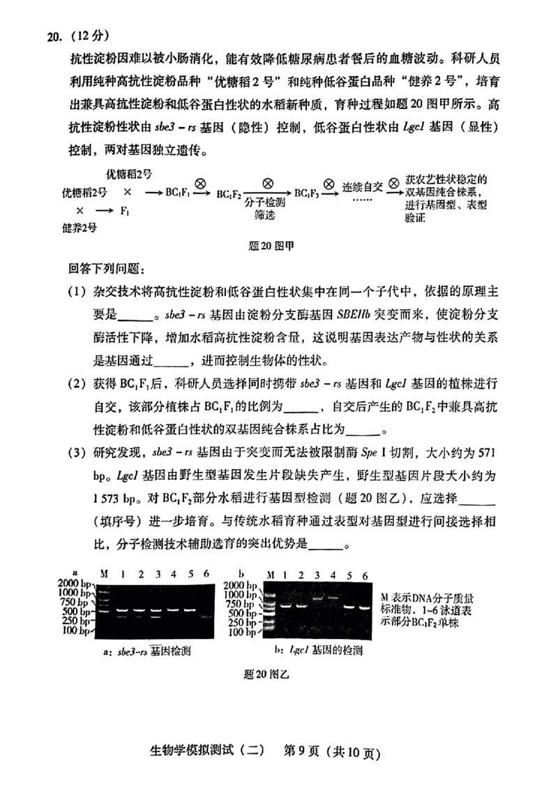 2024届广东省高三下学期4月二模考试-生物学+答案(1)_2024年4月_024月合集_2024届广东省高三下学期4月二模考试