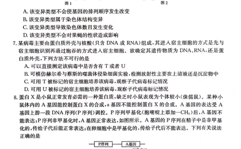 贵州省2024届高三10月金太阳大联考（24-111C）生物(1)_2023年10月_0210月合集_2024届贵州省高三10月金太阳大联考（24-111C）_贵州省2024届高三10月金太阳大联考（24-111C）生物