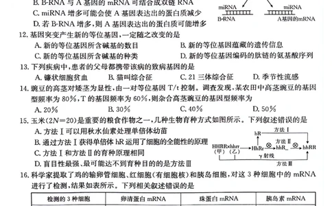 贵州省2024届高三10月金太阳大联考（24-111C）生物(1)_2023年10月_0210月合集_2024届贵州省高三10月金太阳大联考（24-111C）_贵州省2024届高三10月金太阳大联考（24-111C）生物