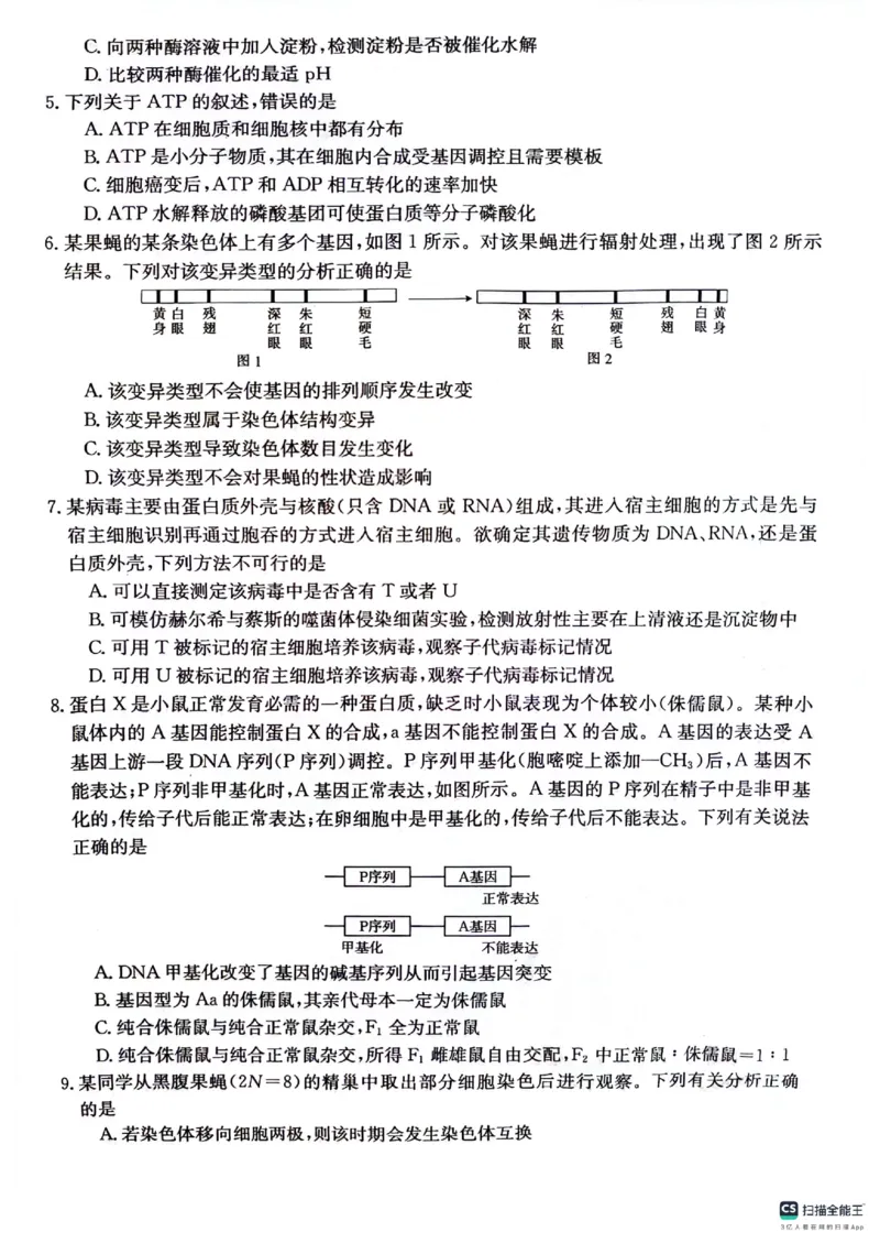 贵州省2024届高三10月金太阳大联考（24-111C）生物(1)_2023年10月_0210月合集_2024届贵州省高三10月金太阳大联考（24-111C）_贵州省2024届高三10月金太阳大联考（24-111C）生物