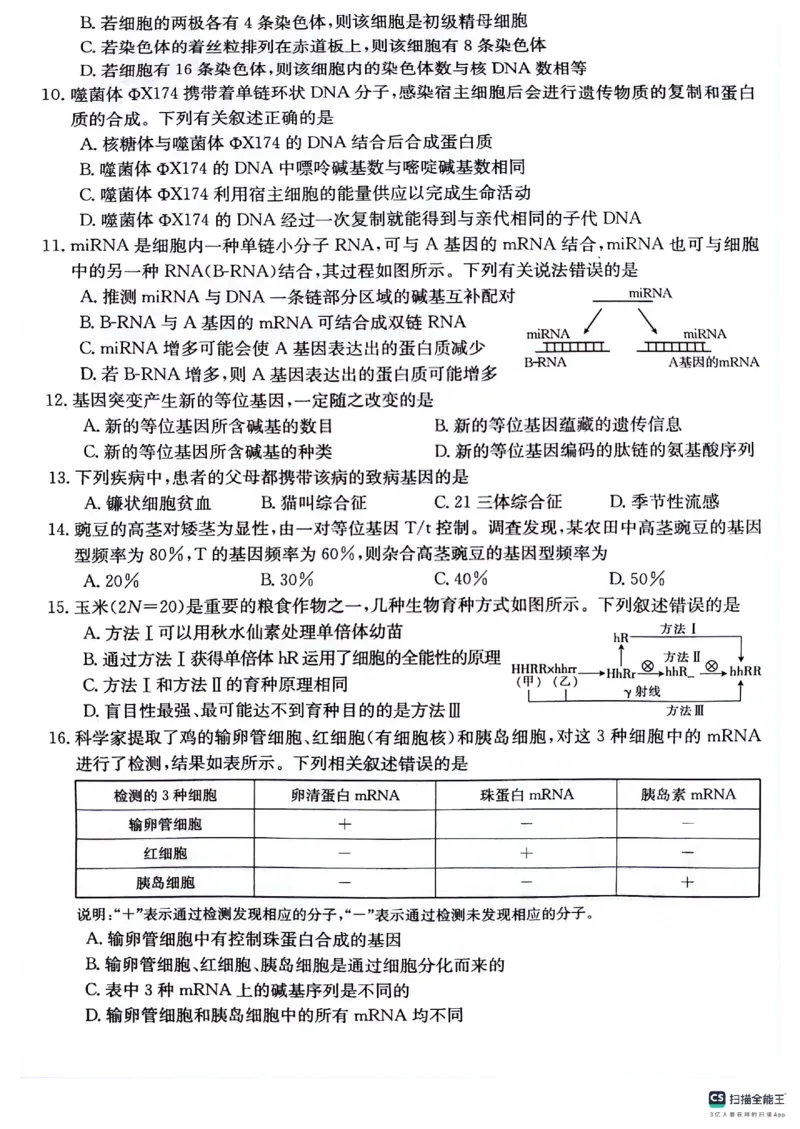 贵州省2024届高三10月金太阳大联考（24-111C）生物(1)_2023年10月_0210月合集_2024届贵州省高三10月金太阳大联考（24-111C）_贵州省2024届高三10月金太阳大联考（24-111C）生物